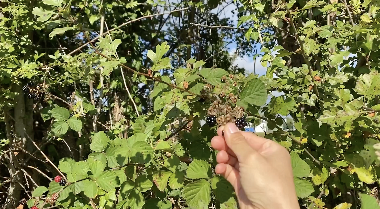 스크린샷 2026-02-03 오후 8.37.01.png