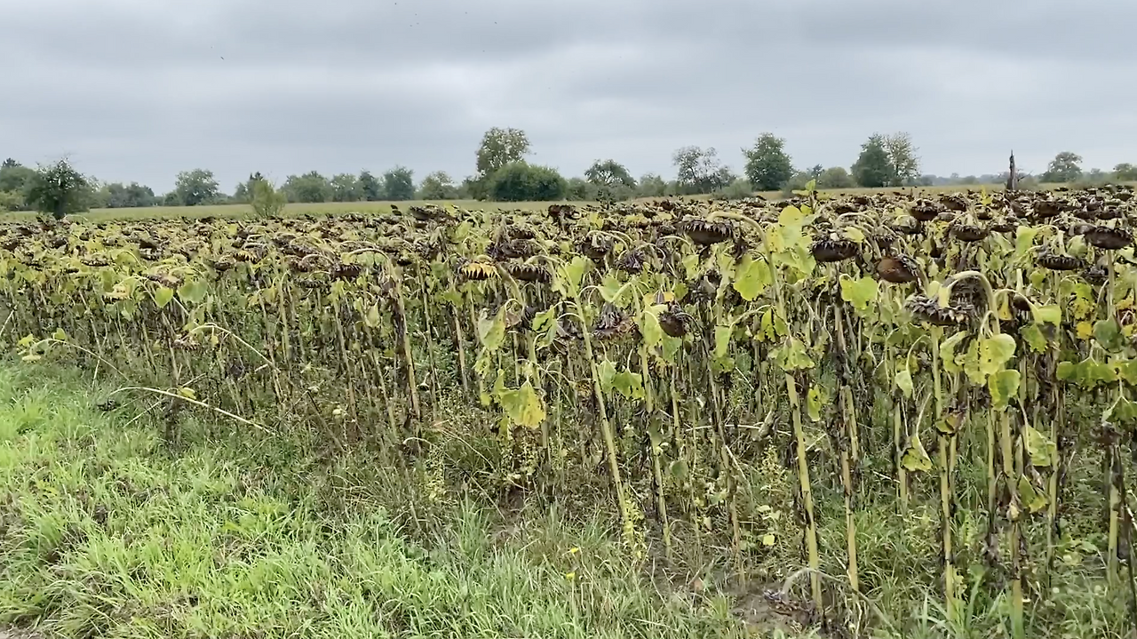 스크린샷 2026-03-05 오전 9.16.34.png