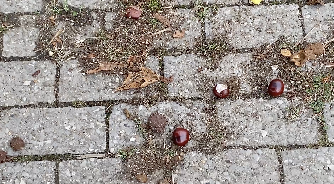 스크린샷 2026-02-11 오후 7.13.40.png