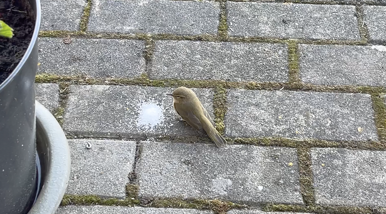 스크린샷 2026-01-29 오전 10.42.10.png