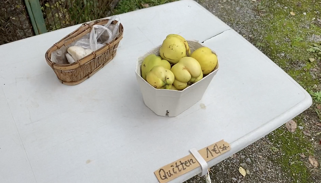 스크린샷 2026-03-05 오전 9.17.40.png