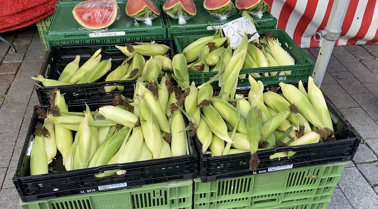 스크린샷 2026-02-07 오후 9.15.29.png