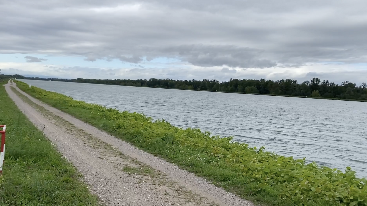 스크린샷 2026-03-08 오후 8.01.13.png