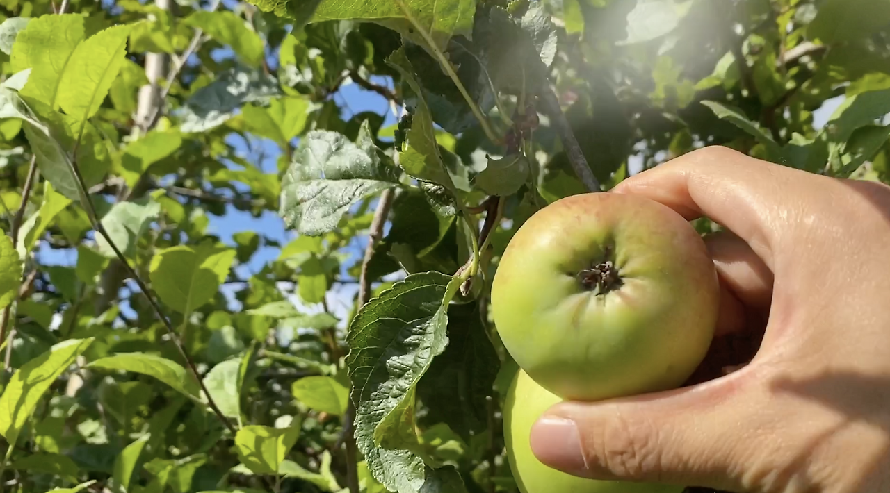 스크린샷 2026-02-03 오후 8.37.24.png