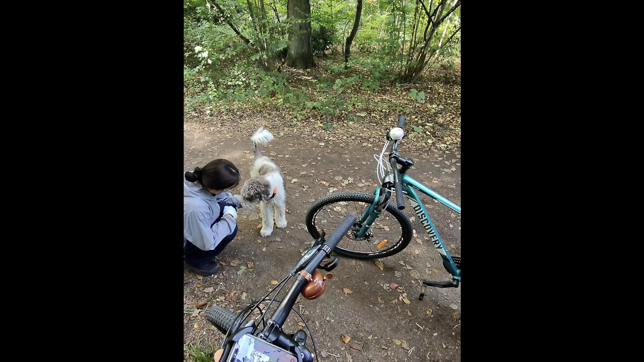 스크린샷 2026-02-22 오후 1.33.33.png