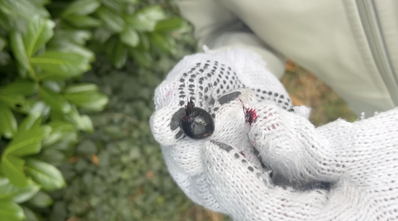 스크린샷 2026-02-03 오후 8.39.07.png