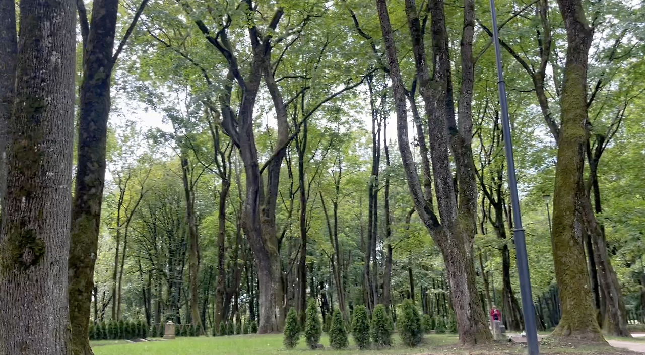 스크린샷 2026-01-30 오후 7.23.28.png