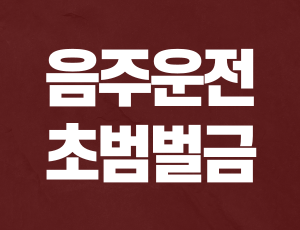 음주운전초범벌금.png