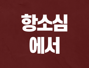 음주운전항소 (1).png