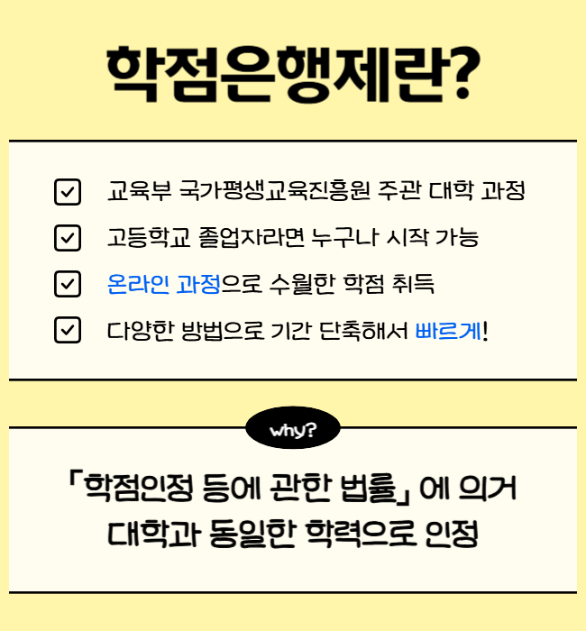 4. 대학 진학 대신 선택한 대안.png