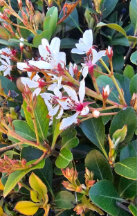 Screenshot 2026-03-20 210449.png