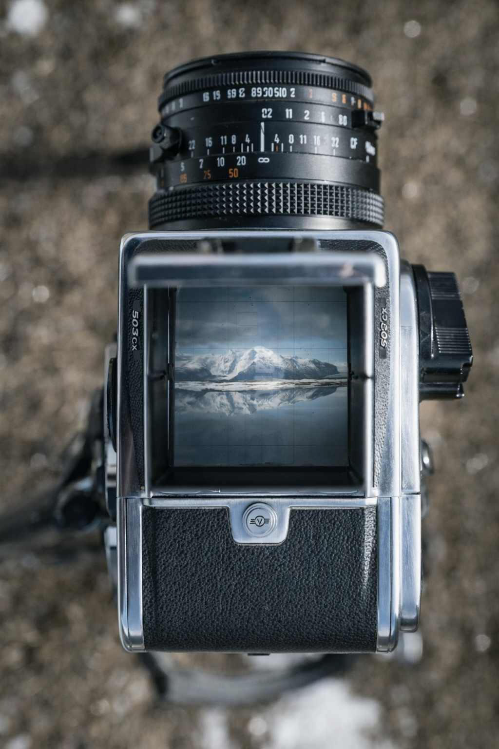 ChatGPT Image 2026년 2월 2일 오후 04_30_56.png