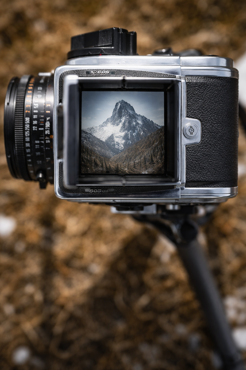 ChatGPT Image 2026년 2월 2일 오후 04_28_13.png