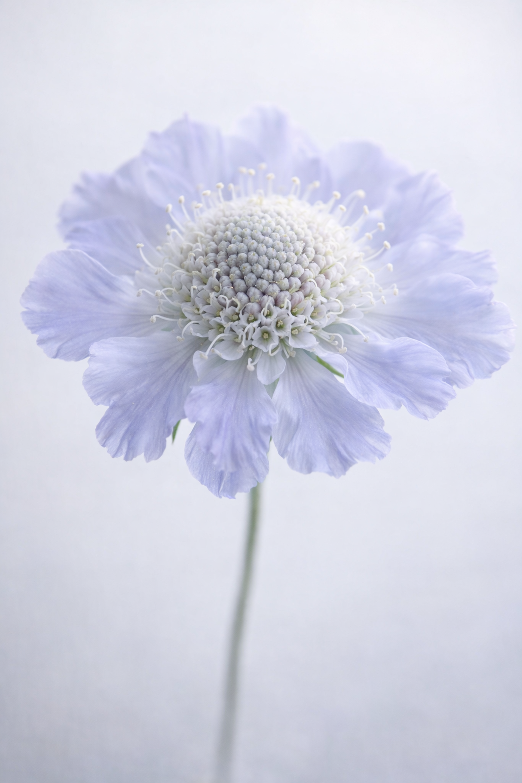 ChatGPT Image 2026년 1월 23일 오전 07_44_54.png