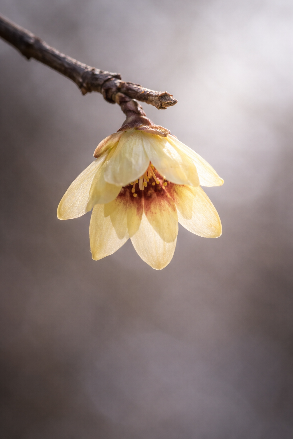 ChatGPT Image 2026년 2월 3일 오전 06_41_51.png