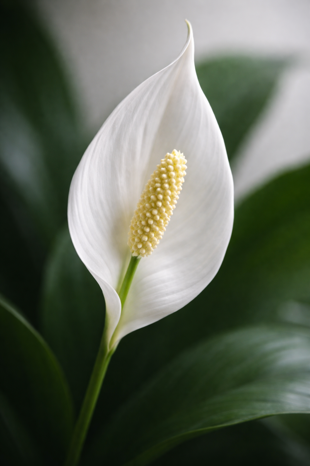 ChatGPT Image 2026년 1월 27일 오전 07_31_02.png