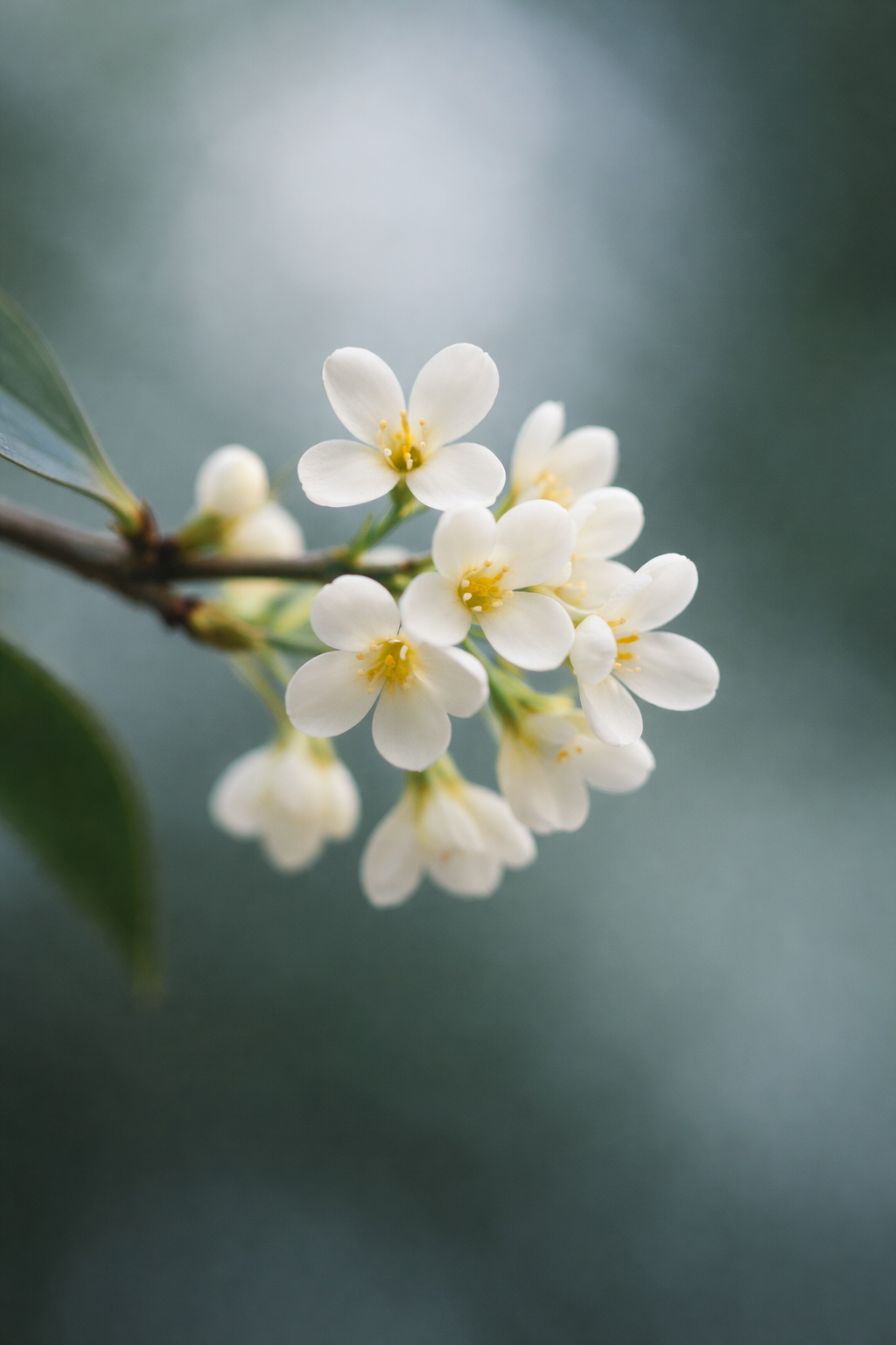 ChatGPT Image 2026년 1월 28일 오전 06_56_41.png