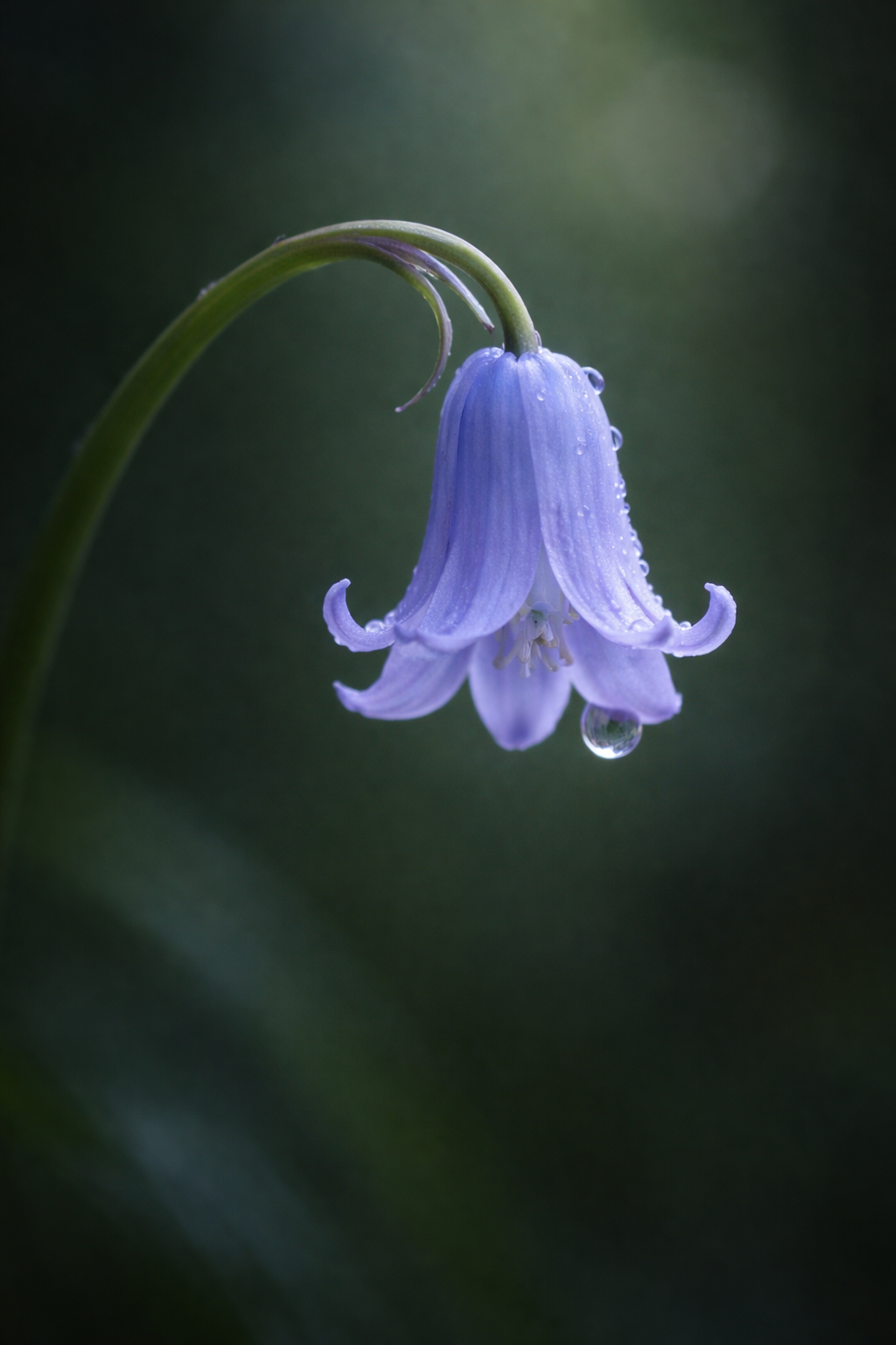 ChatGPT Image 2026년 1월 26일 오전 06_58_40.png