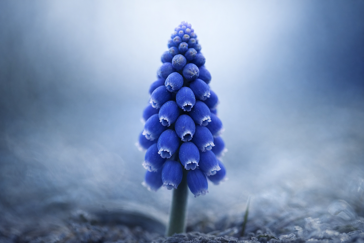 ChatGPT Image 2026년 1월 22일 오전 08_01_45.png