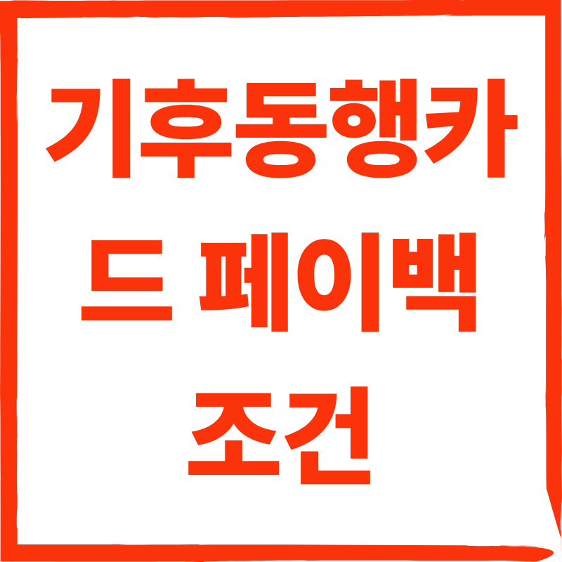 기후동행카드 페이백 조건부터 3만원 환급까지 핵심 정리