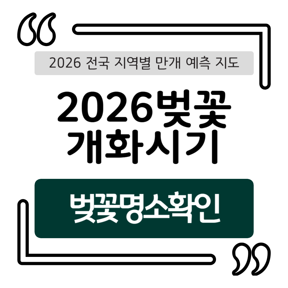 1000-019 (20).png