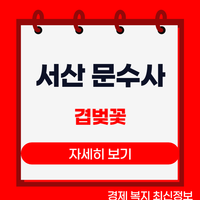제목을 입력해주세요__복사본-001 (34).png