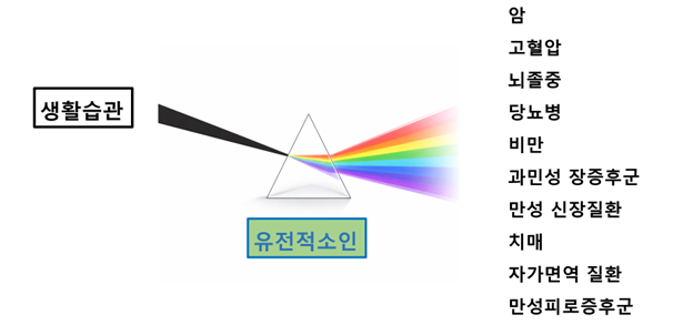 프리즘1.png