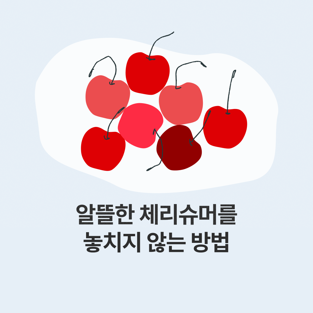 260304_체리슈머_네이버.png