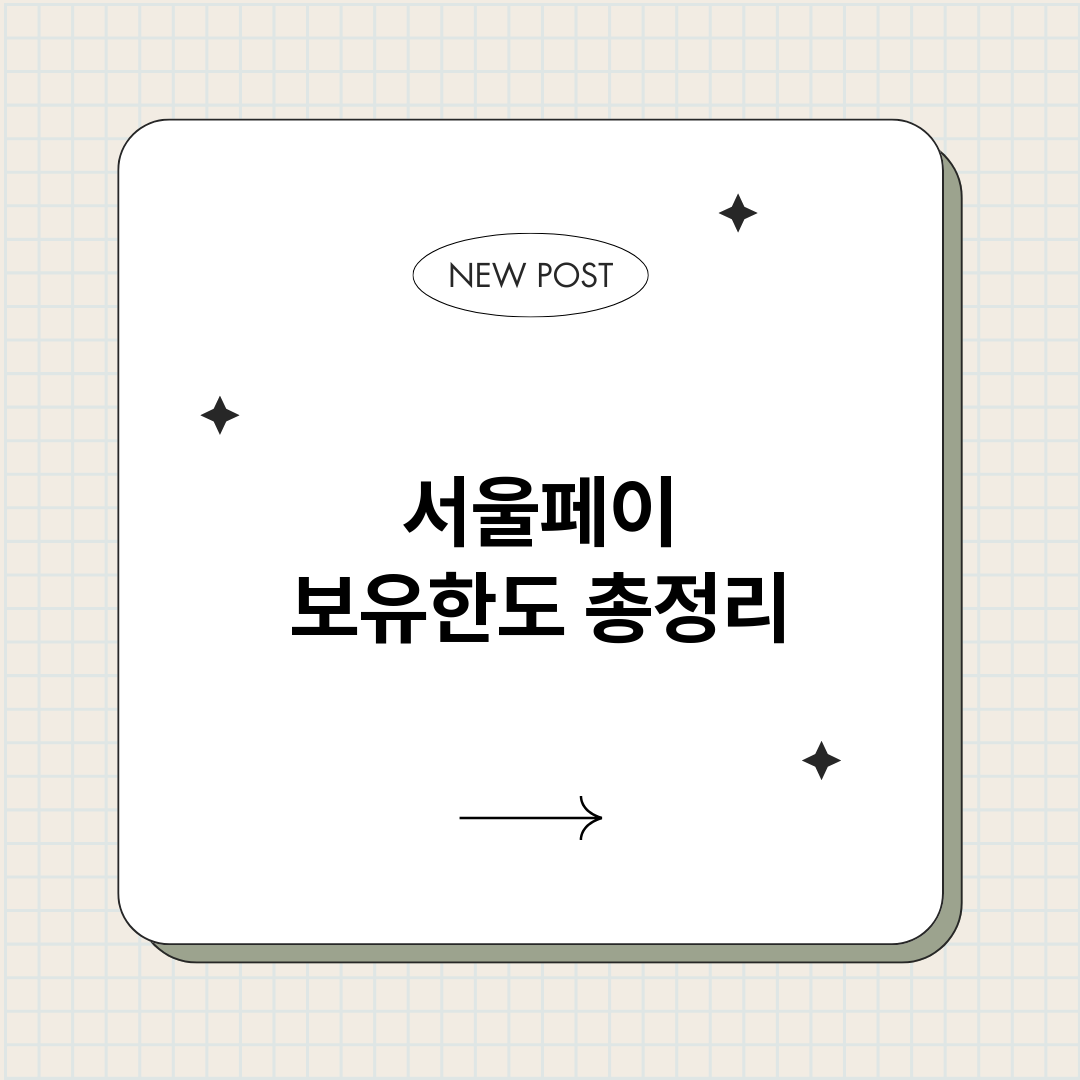 서울페이보유한도_썸네일.png