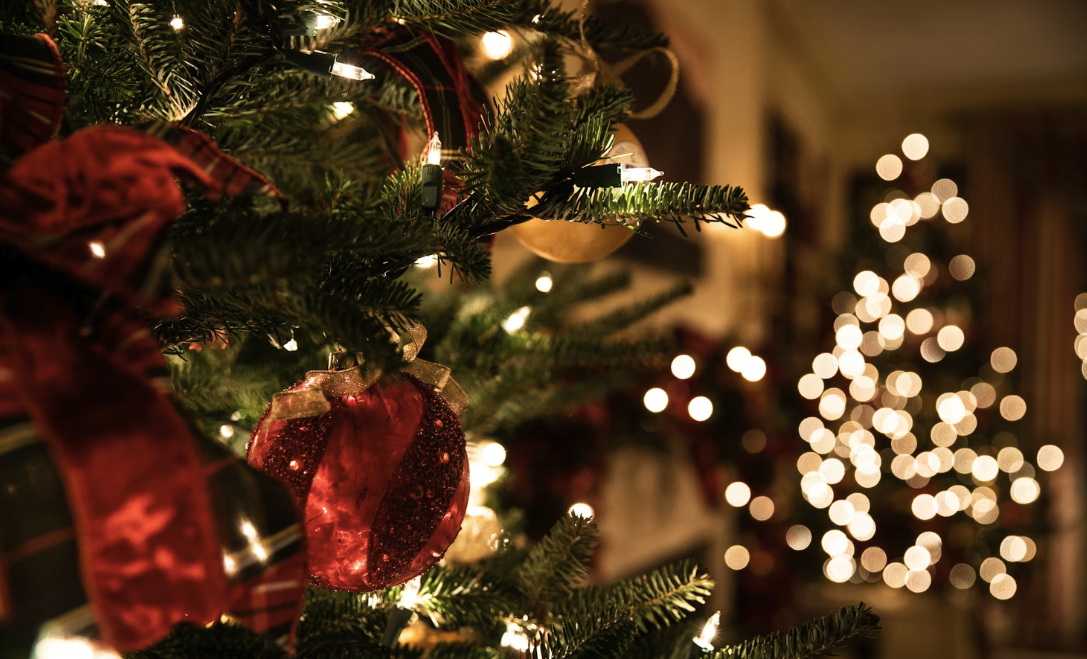 스크린샷 2026-02-27 오후 3.12.00.png