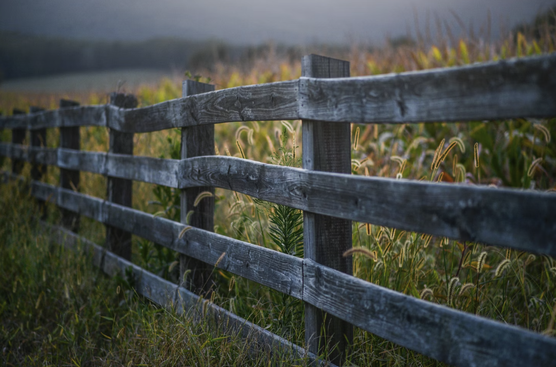 스크린샷 2026-02-17 오전 9.50.27.png