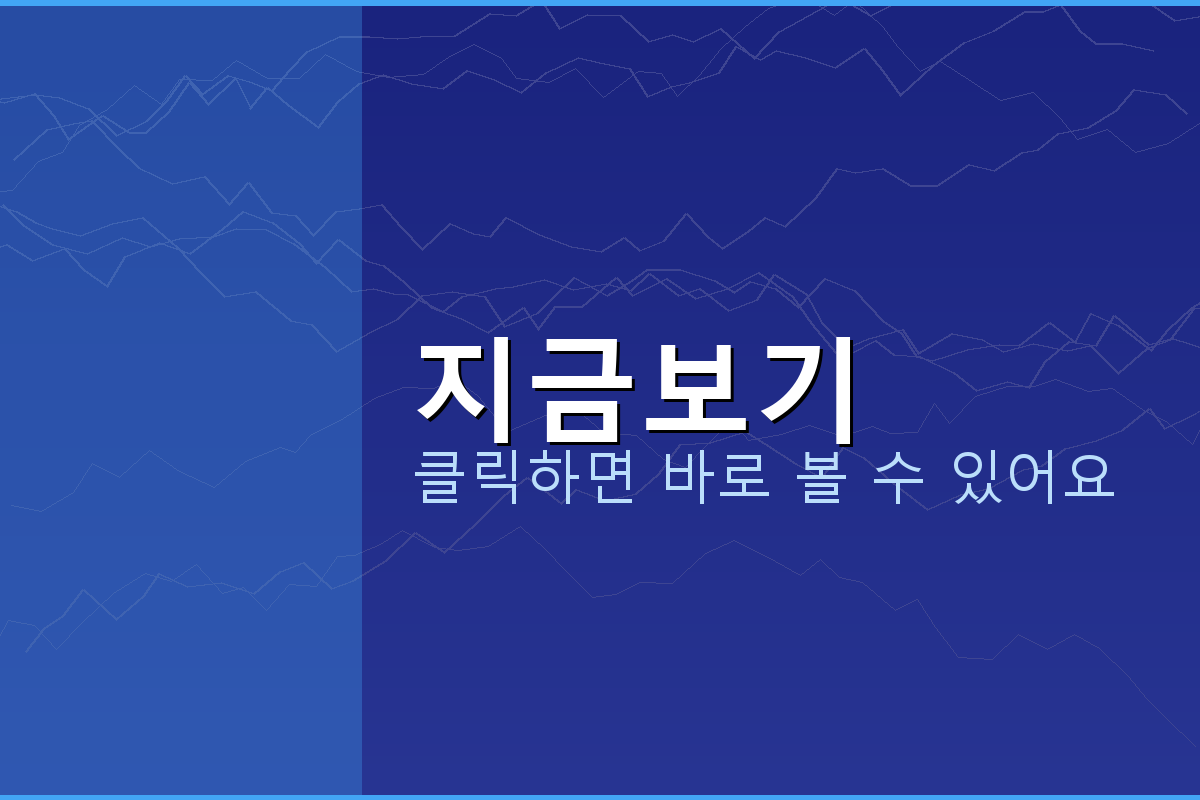 자동차 과태료 조회 (2).png