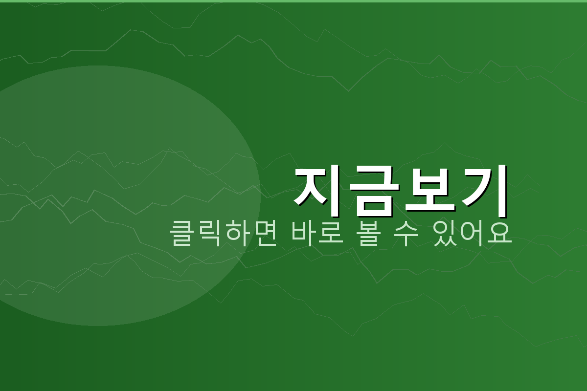 KBS 뉴스광장 (2).png
