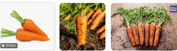 당근마켓ｐｃ (1).png