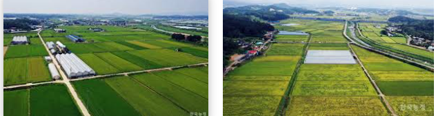 농지임대차계약서 양식 (4).png