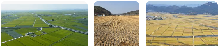 농지임대차계약서 양식 (5).png