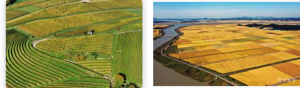 농지임대차계약서 양식 (1).png