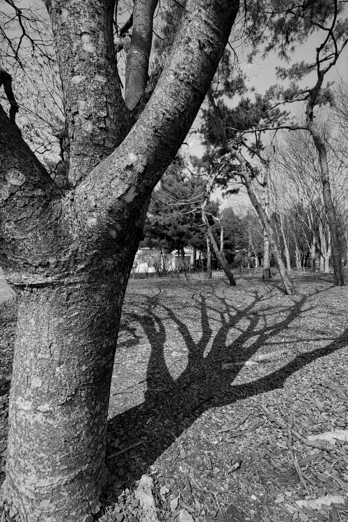 ChatGPT Image 2026년 4월 8일 오후 03_27_51.png