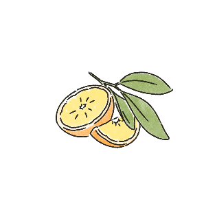 오렌지.png