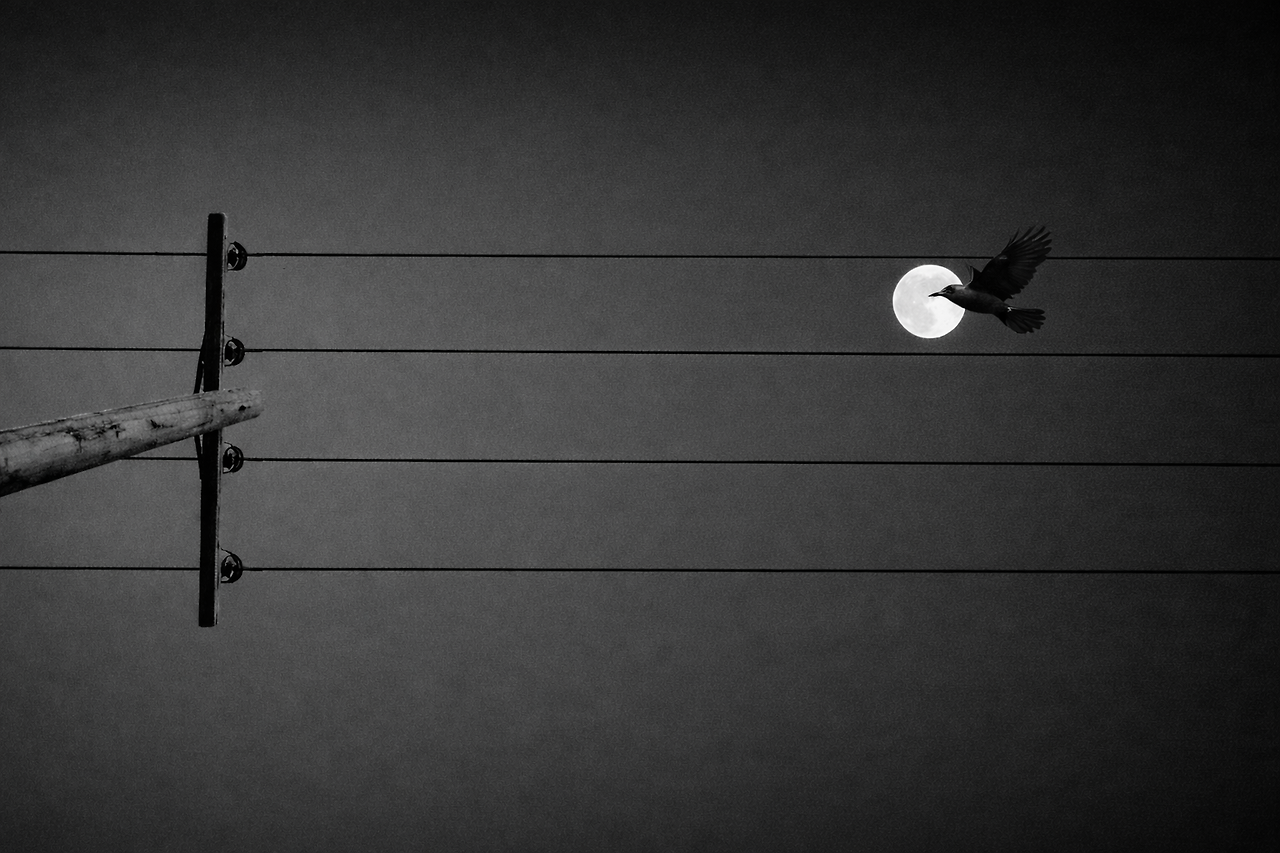 ChatGPT Image 2026년 2월 8일 오전 11_57_48.png