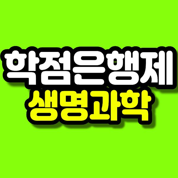 4 - 복사본.png