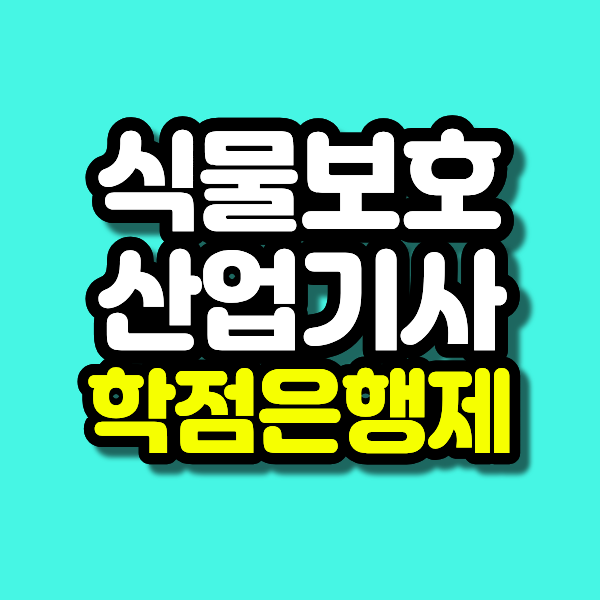 32 - 복사본.png