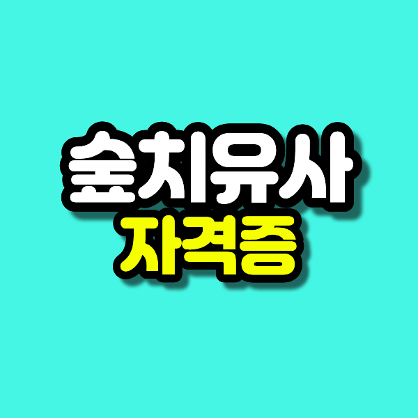 11 - 복사본.png