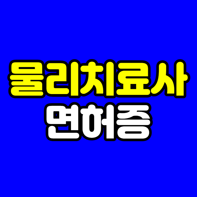 물리치료사 면허증 - 001 - 복사본.png