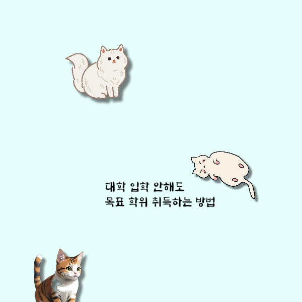 006 - 복사본.png