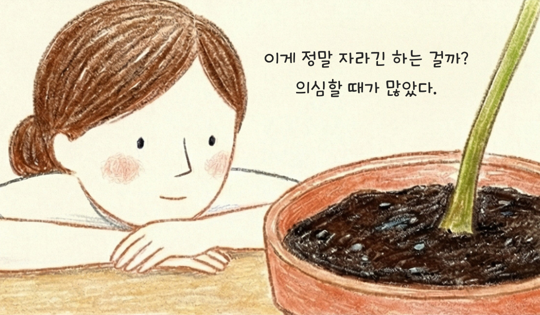 작은 물주기 2.png