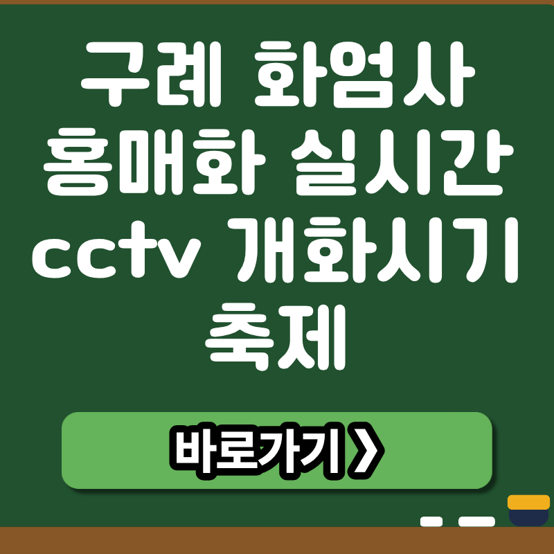 브런치 썸네일 (37).png