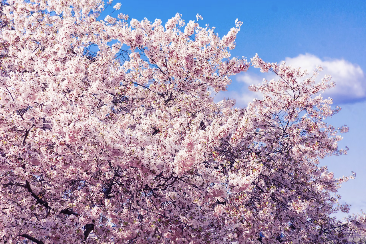 스크린샷 2026-03-04 오후 9.38.41.png