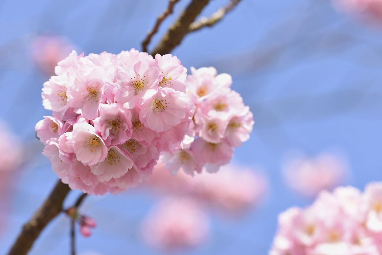 스크린샷 2026-03-04 오후 9.40.21.png