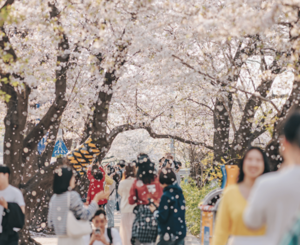 스크린샷 2026-03-04 오후 10.37.27.png